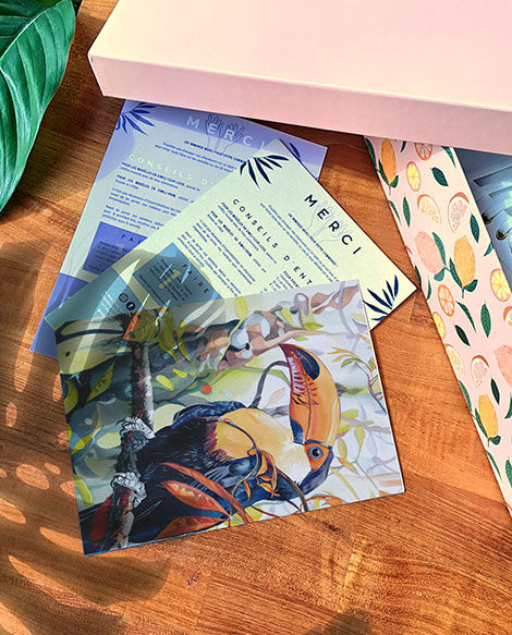 Thank-you cards illustrated by Julie Vigneron for Minuit sur Terre, Toucan design, with trainer box