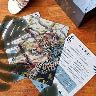 Carte de remerciement illustrée d’un léopard pour la marque de mode vegan Minuit sur Terre, posée près d’une boîte à escarpins